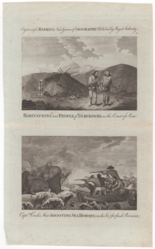 Habitations and People of Tschuktschi on the Coast of Asia  Captn Cook's Men Shooting Sea Horses [Walrus] (on the Ice) for fresh Provision